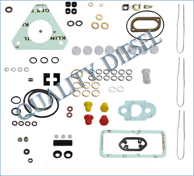 CAV-DPA PUMP REPAIR KIT