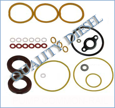 common rail pump repair kit