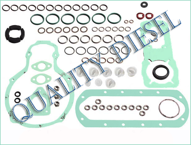 pe..p.mw pump repair kit